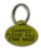 Yellow-Oval-Plastic-Dog-Tag