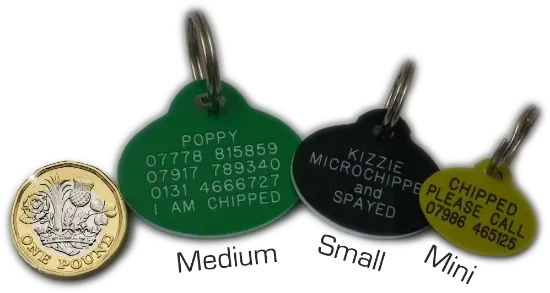 Oval-Plastic-Dog-Tag