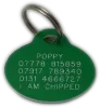 Green-Oval-Plastic-Dog-Tag