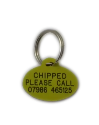 Oval Brass Pet Tag (Mini)