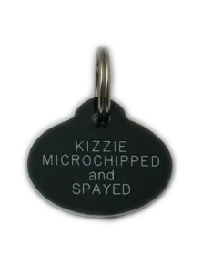 Oval Brass Pet Tag (Mini)