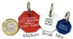 Picture of Octagonal Plastic Dog Tags