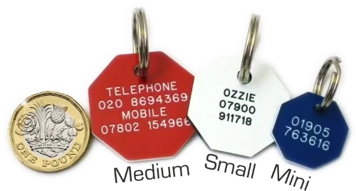 Picture of Octagonal Plastic Dog Tags