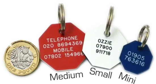 Picture of Octagonal Plastic Dog Tags 