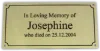 Picture of Brass Bench plaques 230x65mm