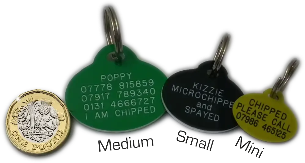 Oval Plastic dog pet tags 